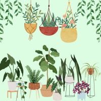 Plant Sale