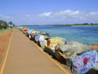 Walk to d'Feet MND - Port Macquarie