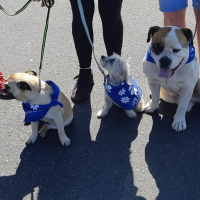 Walk to d'Feet MND Central Coast